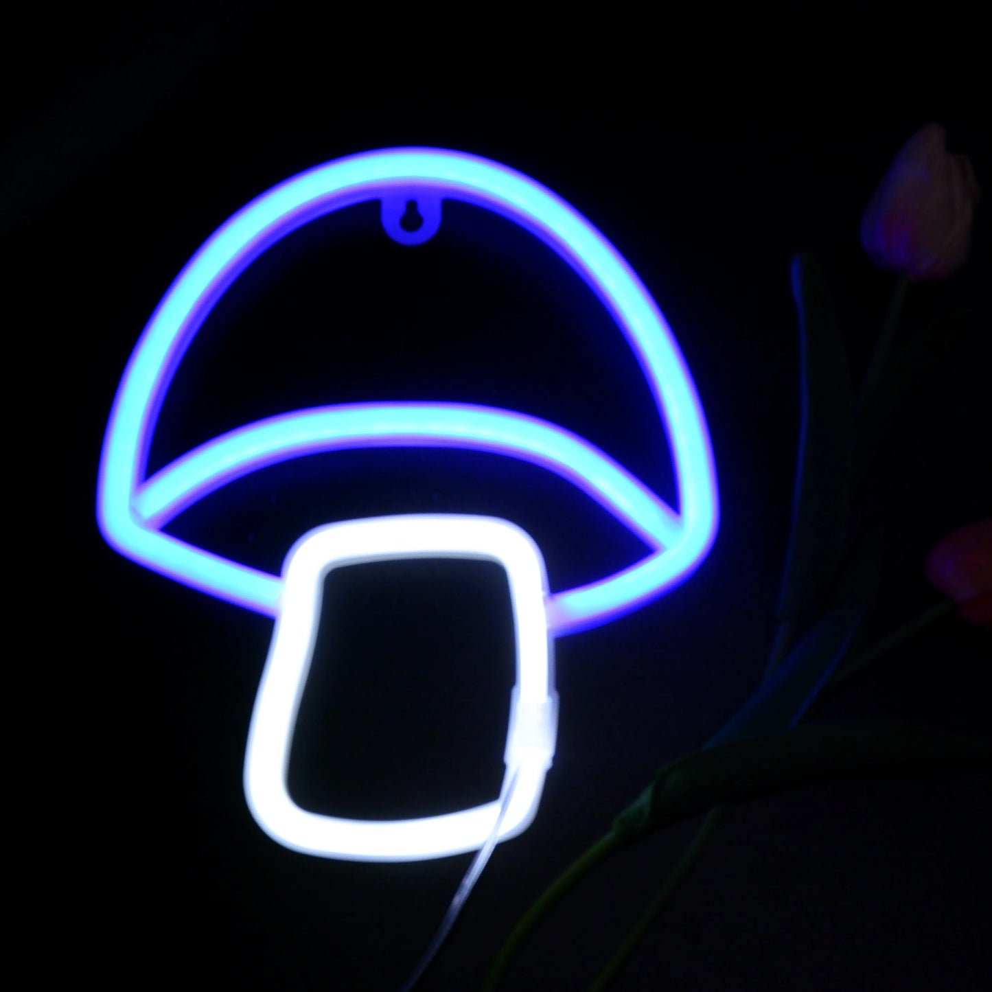 Neon-LED